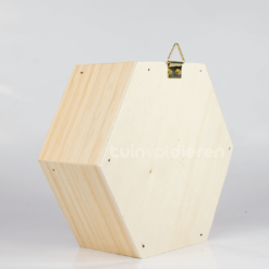 Achterkant hexagon
