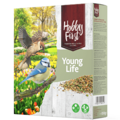 HobbyFirst young life strooivoer