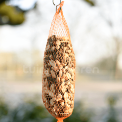 Mischung aus Vogelfutter, Sonnenblumenkernen und geschälten Erdnüssen