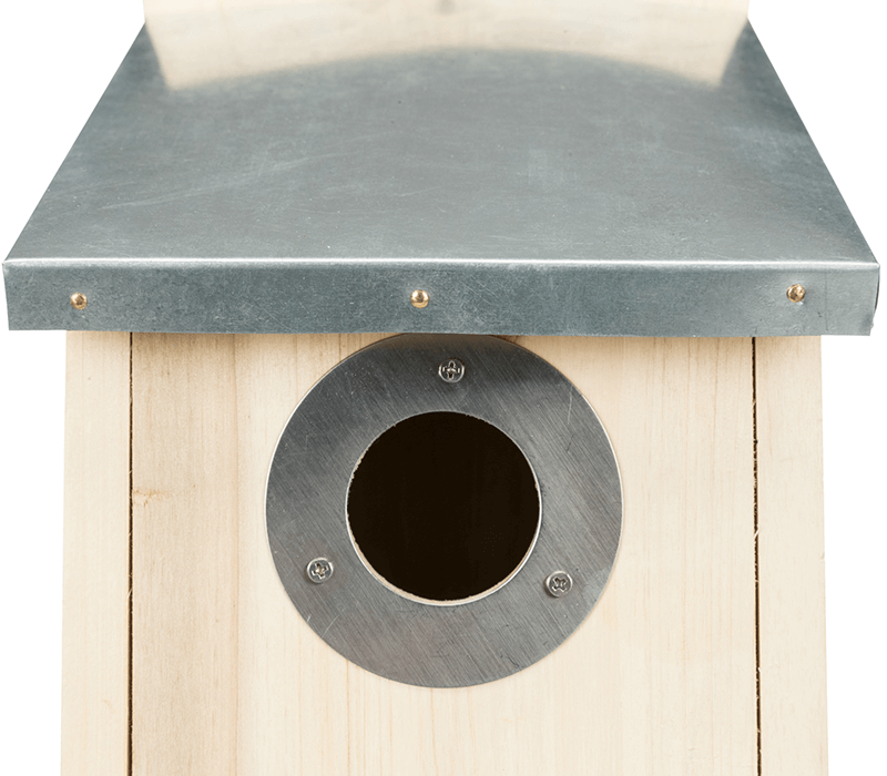 Nestkast Spreeuwen - Afbeelding 5