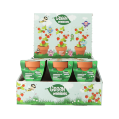 Alternative view of Green Warriors® Grow Gifts Aardbei