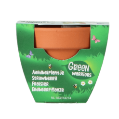 Green Warriors® Wachsen Geschenke Erdbeere – Bild 3