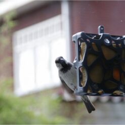 Vogel bij het raam op gerecyclede vetblokhouder met zuignappen.