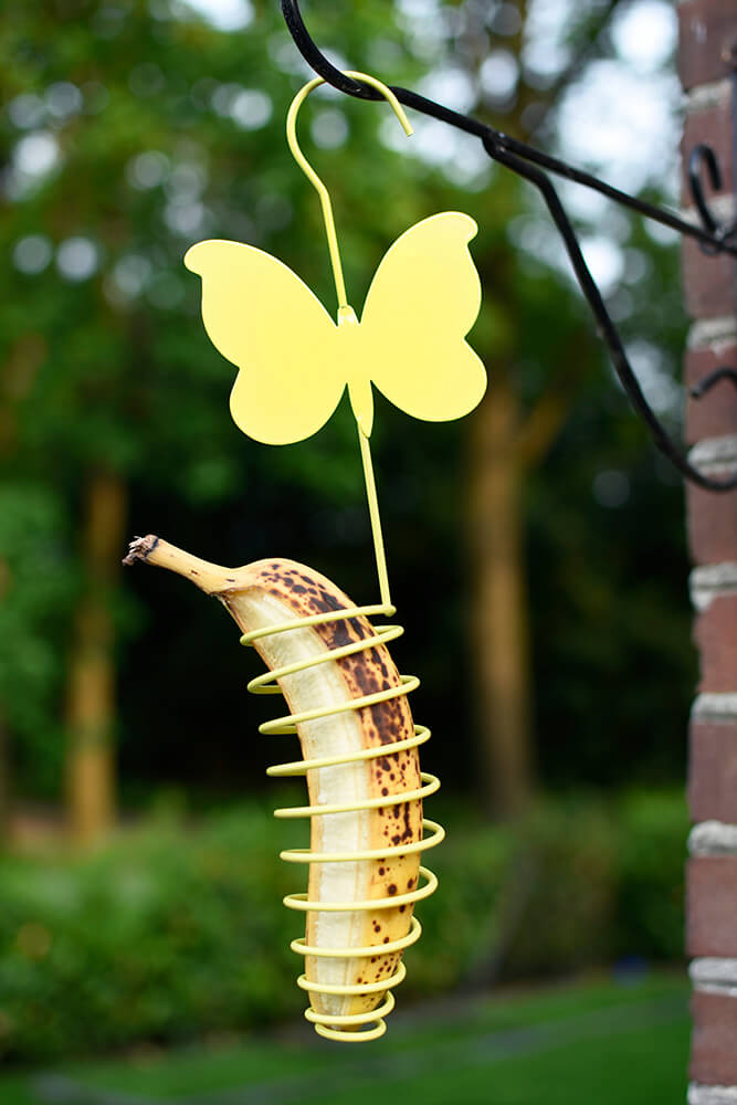 Bananenhalter für Schmetterlinge