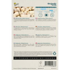 Buzzy® Bio-Speisekürbis (BIO) – Bild 3