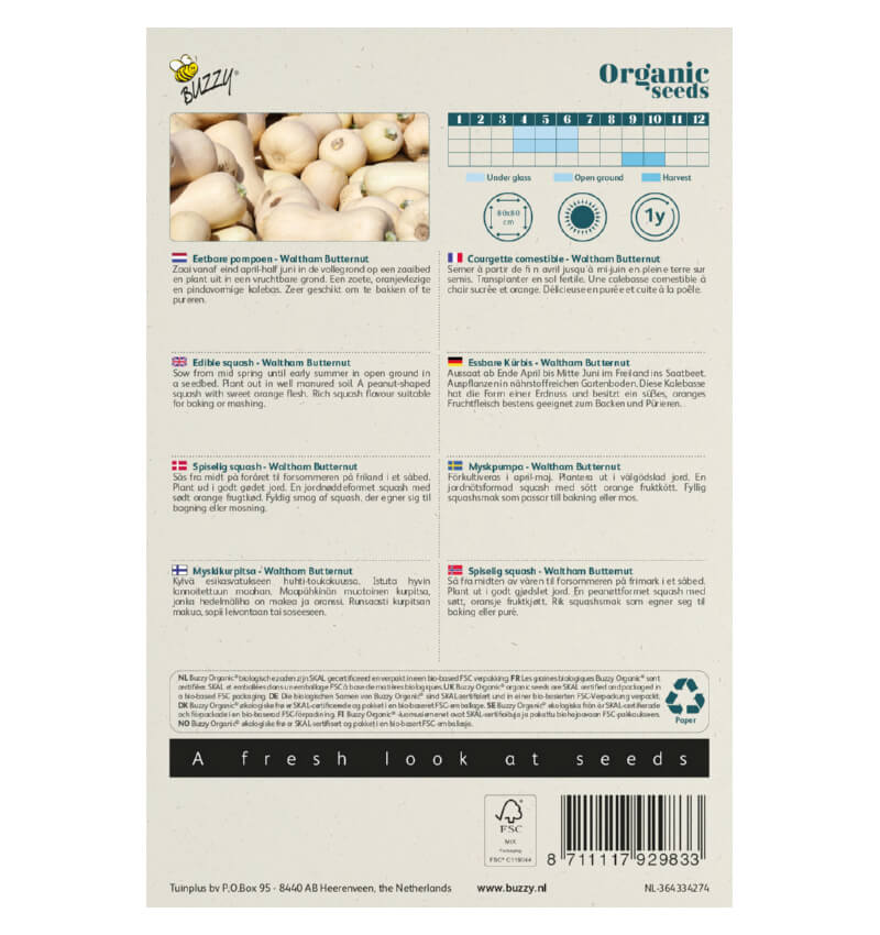 Buzzy® Bio-Speisekürbis (BIO) – Bild 3