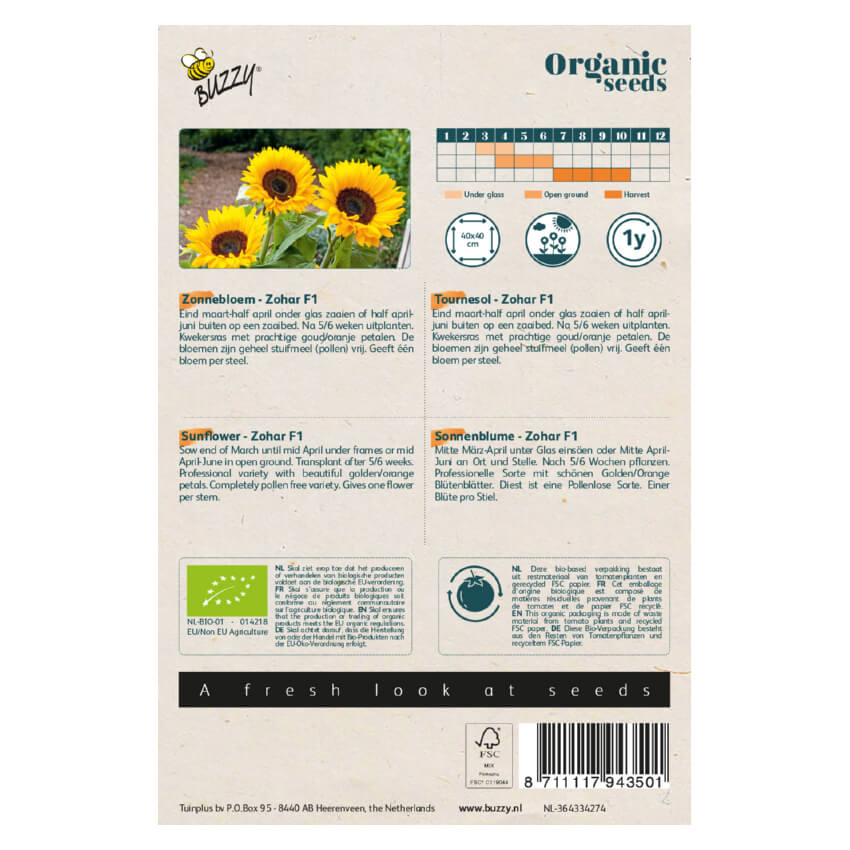 Buzzy Sonnenblume – Bild 2