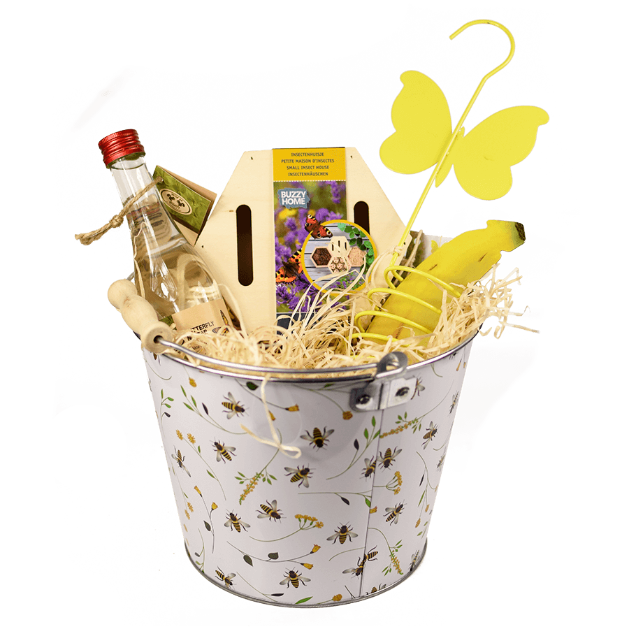 Geschenk Schmetterlinge im Eimer