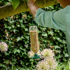DIY-Samenfutter für Vögel aus einer leeren Flasche.