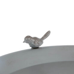 Vogeltje op de rand van vogelschaal