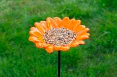 Voederschaal Gerbera oranje - Afbeelding 2
