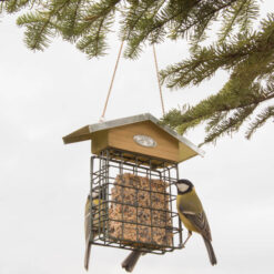 Vogels eten van vetblok in hangende houder.
