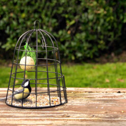 Futterstelle für kleine Vögel – Bild 2