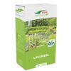 DCM-Lavamehl online kaufen.