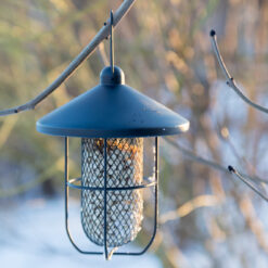 Peanut Feeder Deluxe - schwarzes Metall mit Dach und Außenarbeiten – Bild 3