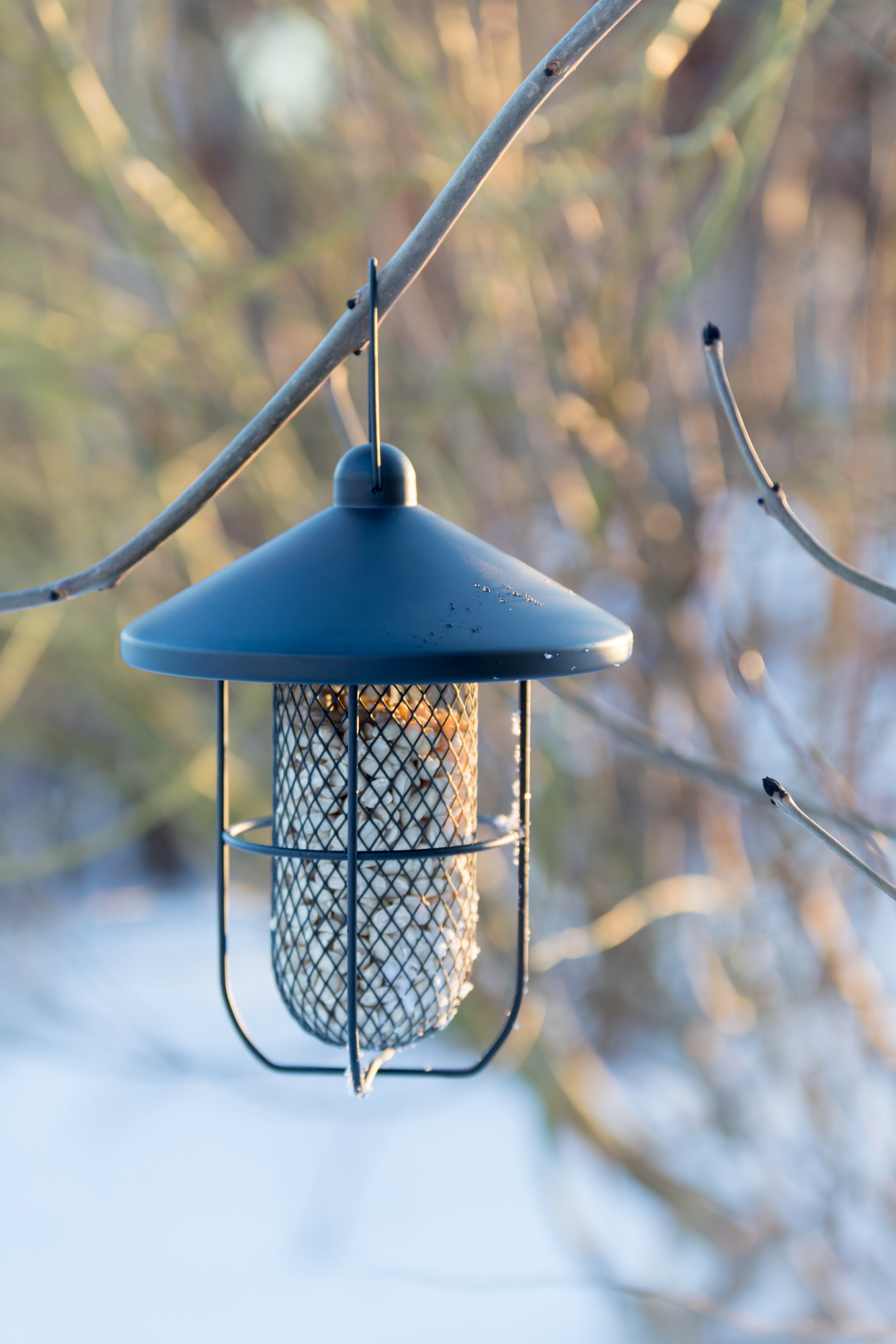 Peanut Feeder Deluxe - schwarzes Metall mit Dach und Außenarbeiten – Bild 3