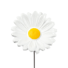 Vogelschaal Margriet