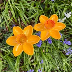Voederschaal Narcis - Afbeelding 7