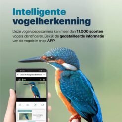 Nestkastje met camera - Afbeelding 4