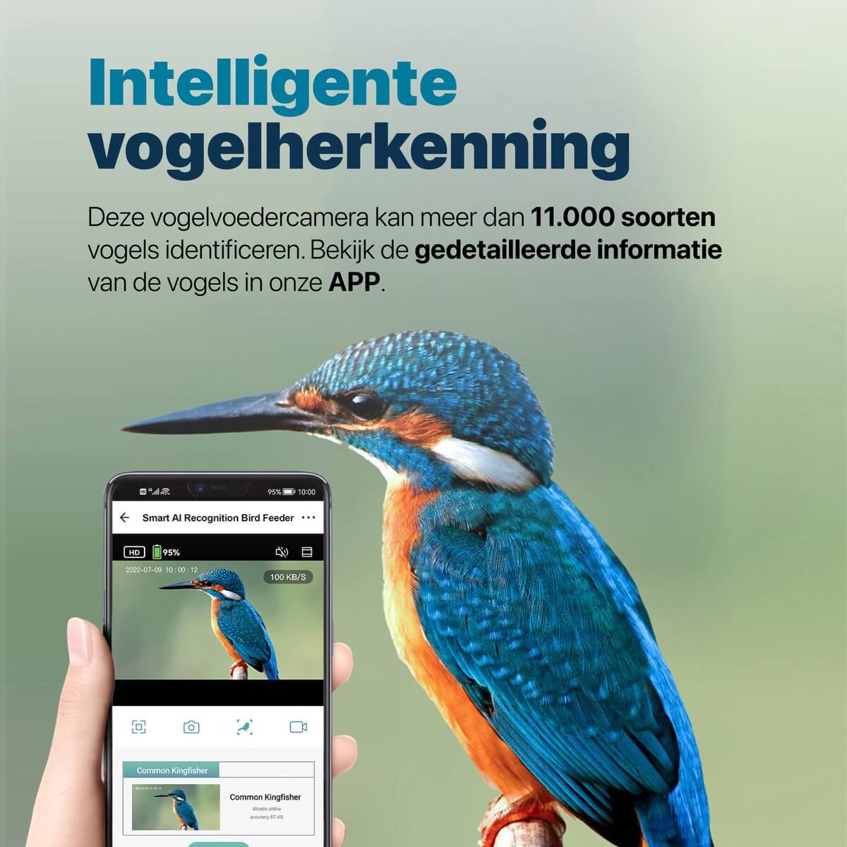 Nestkastje met camera - Afbeelding 4