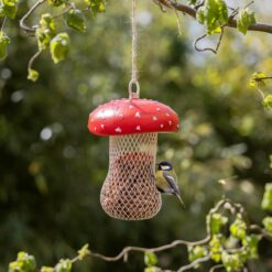 Alternative view of Pindafeeder paddenstoel