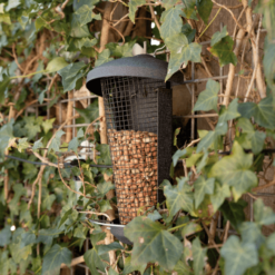 Langlebiges Erdnusssilo aus Metall für Vogelfütterung