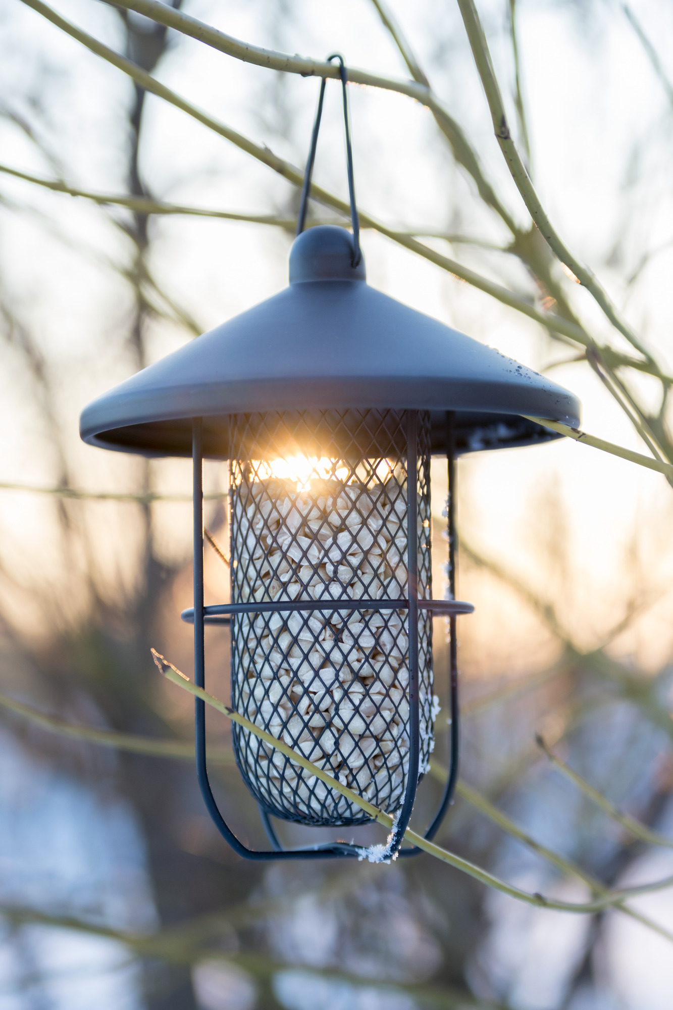 Peanut Feeder Deluxe - schwarzes Metall mit Dach und Außenarbeiten – Bild 2