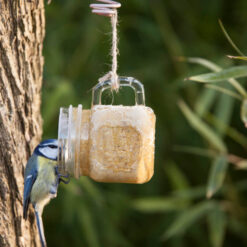 Pindakaas in mok met vogel.
