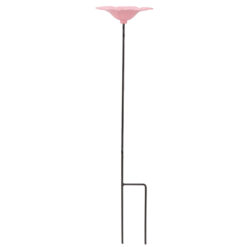 Voederschaal Malva roze