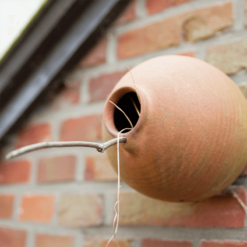 Vogelpot terracotta rond - Afbeelding 2