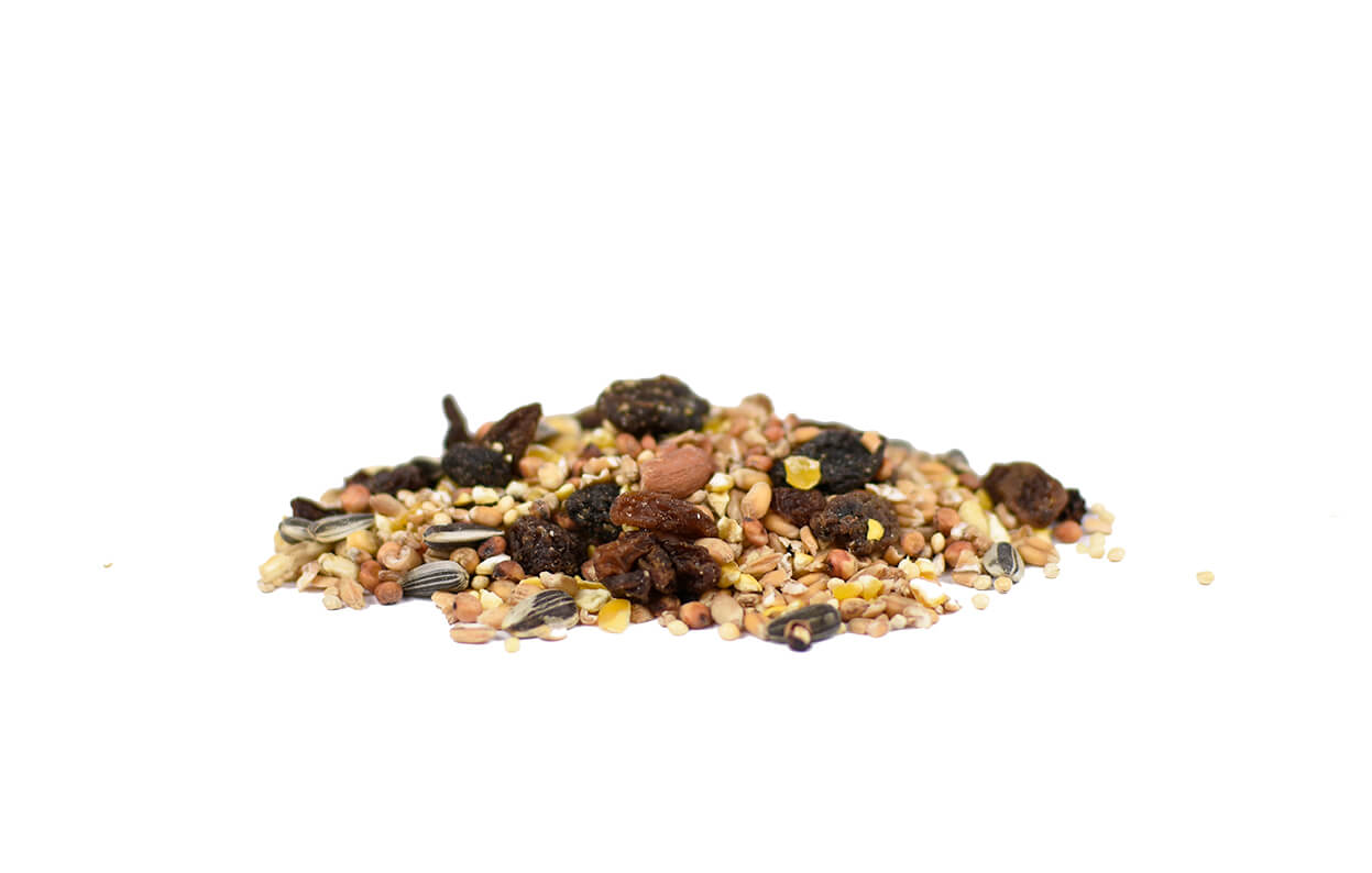 Streuen Sie Futter mit Sultaninen für Gartenvögel.