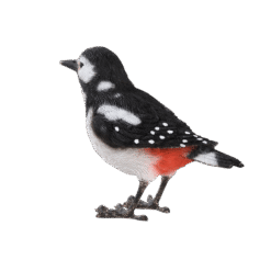 Beeldje vogel Grote bonte specht - Afbeelding 3