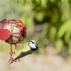 Vogel bij vetbolhouder in de vorm van en vogeltje