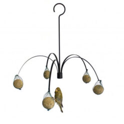 Palm feeder hangmodel voor vetbollen.