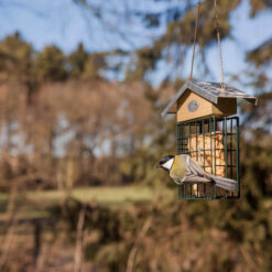 Vogel eet van vetblok in vetblokhouder met dakje.