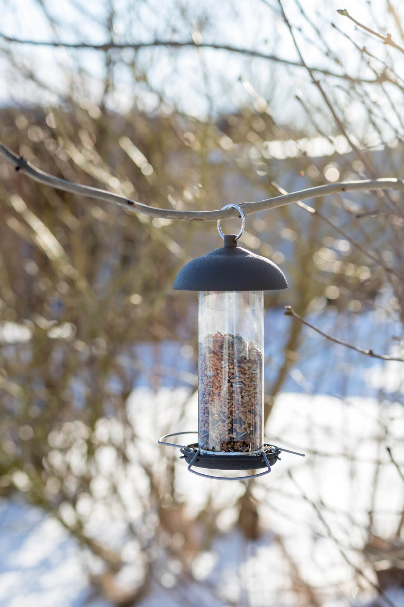 Zwarte zaadfeeder ophangbaar voor vogels.