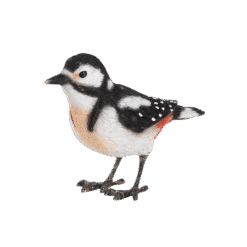 Statue Vogel Rotkehlchen (kopie) (kopie)