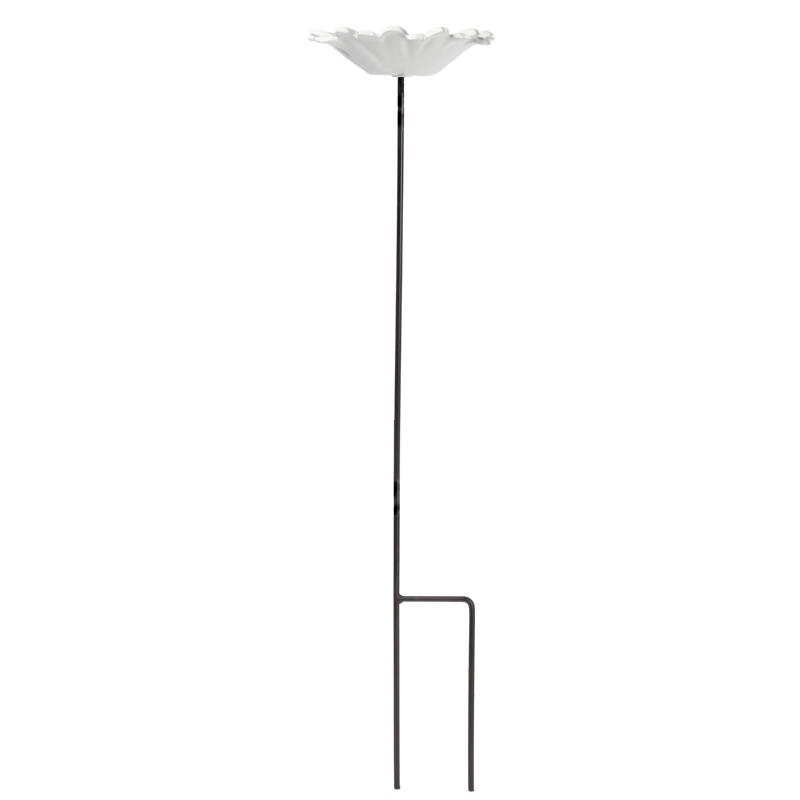 Vogelschale Gänseblümchen Blume auf Stock