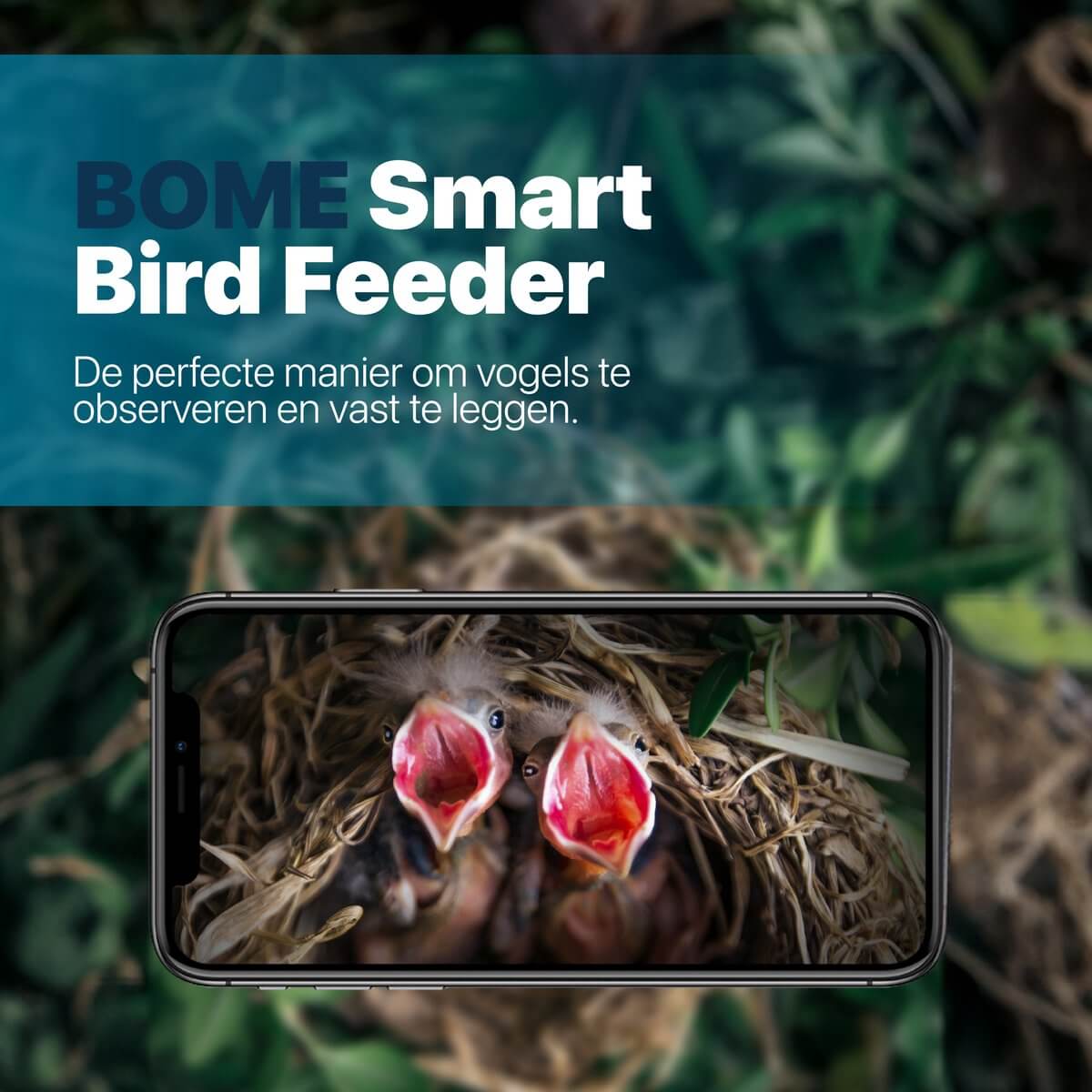 Nestkastje met camera - Afbeelding 2