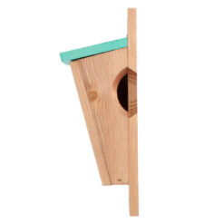 Vogelhuis voor de Boomklever.