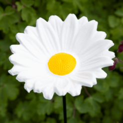 Margriet stake feeder vogels