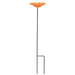Voederschaal Gerbera oranje