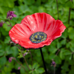 Fröhliche Futterschale Garten Vögel Mohn Mohn