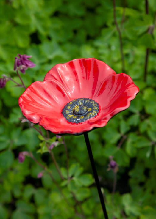 Fröhliche Futterschale Garten Vögel Mohn Mohn