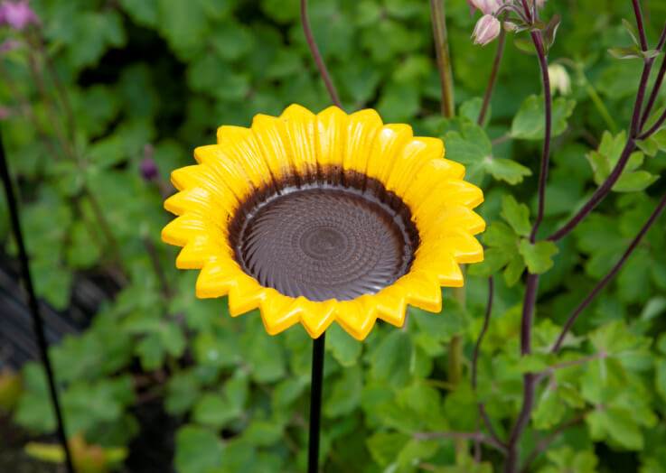 Voederschaal zonnebloem - Afbeelding 3