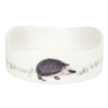 Witte egelvoerbak voor egels