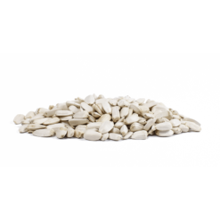 Witte zonnebloempitten voor vogels