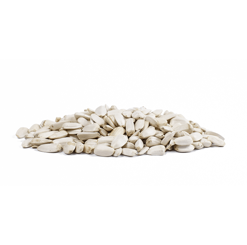 Witte zonnebloempitten voor vogels