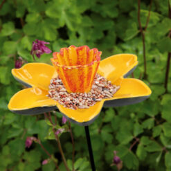 Voederschaal Narcis - Afbeelding 4